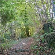 Aiuto compiti italiano, inglese, storia, geografia, con esperienza Milano